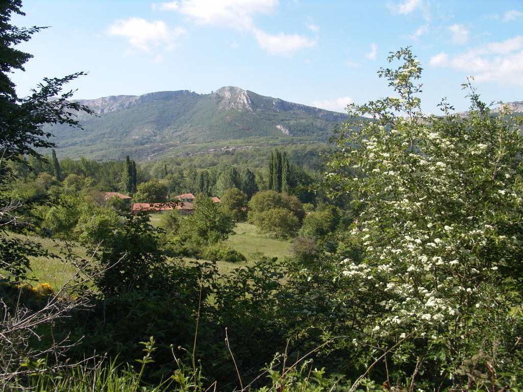 La Gandara Pension Crespo Buitenkant foto